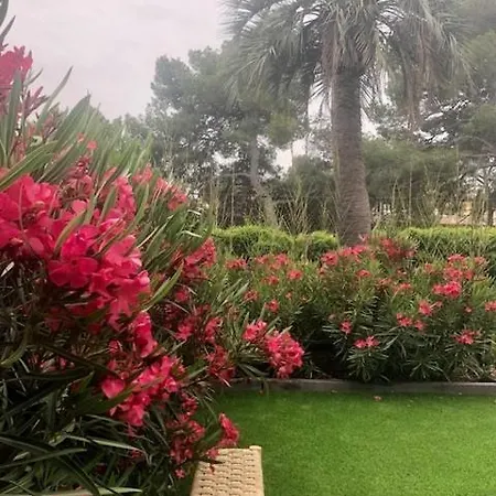 Giens, Superb High-end With Jacuzzi Apartment *